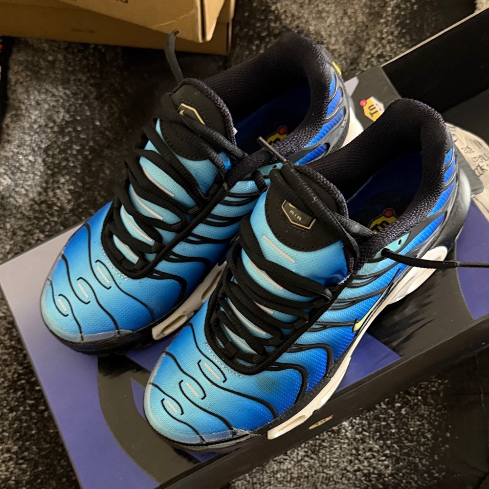 Nike air max plus OG